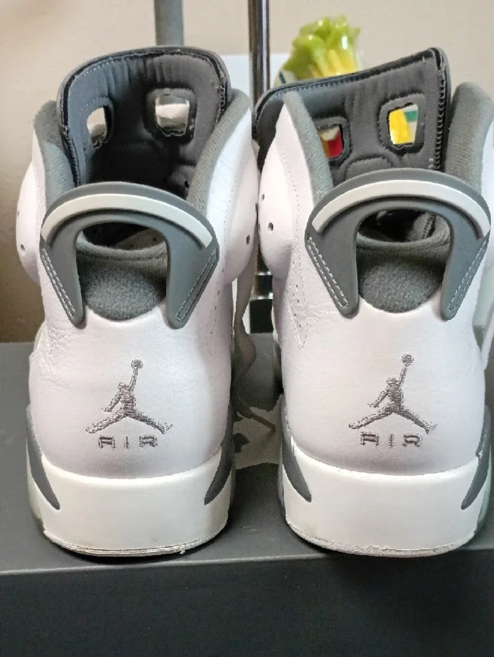 Jordan Men's Air Jordan 6 
